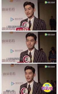 爆料老板萌照视频大全,揭秘职场中的可爱瞬间